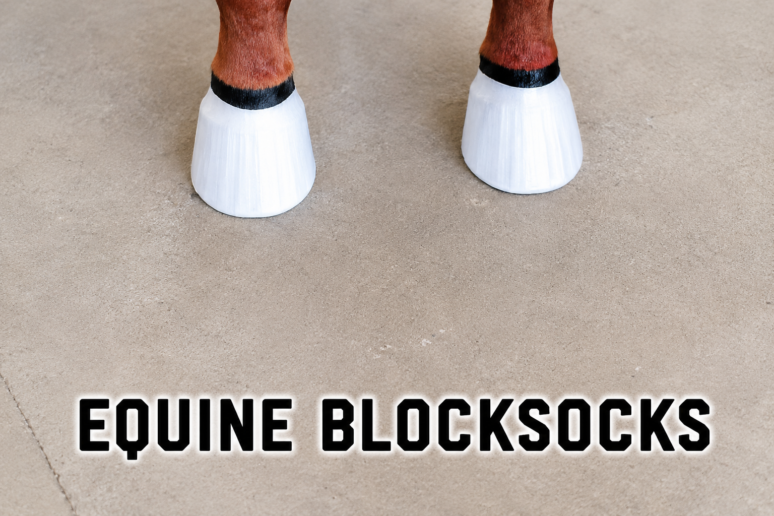 Equine Blocksocks package