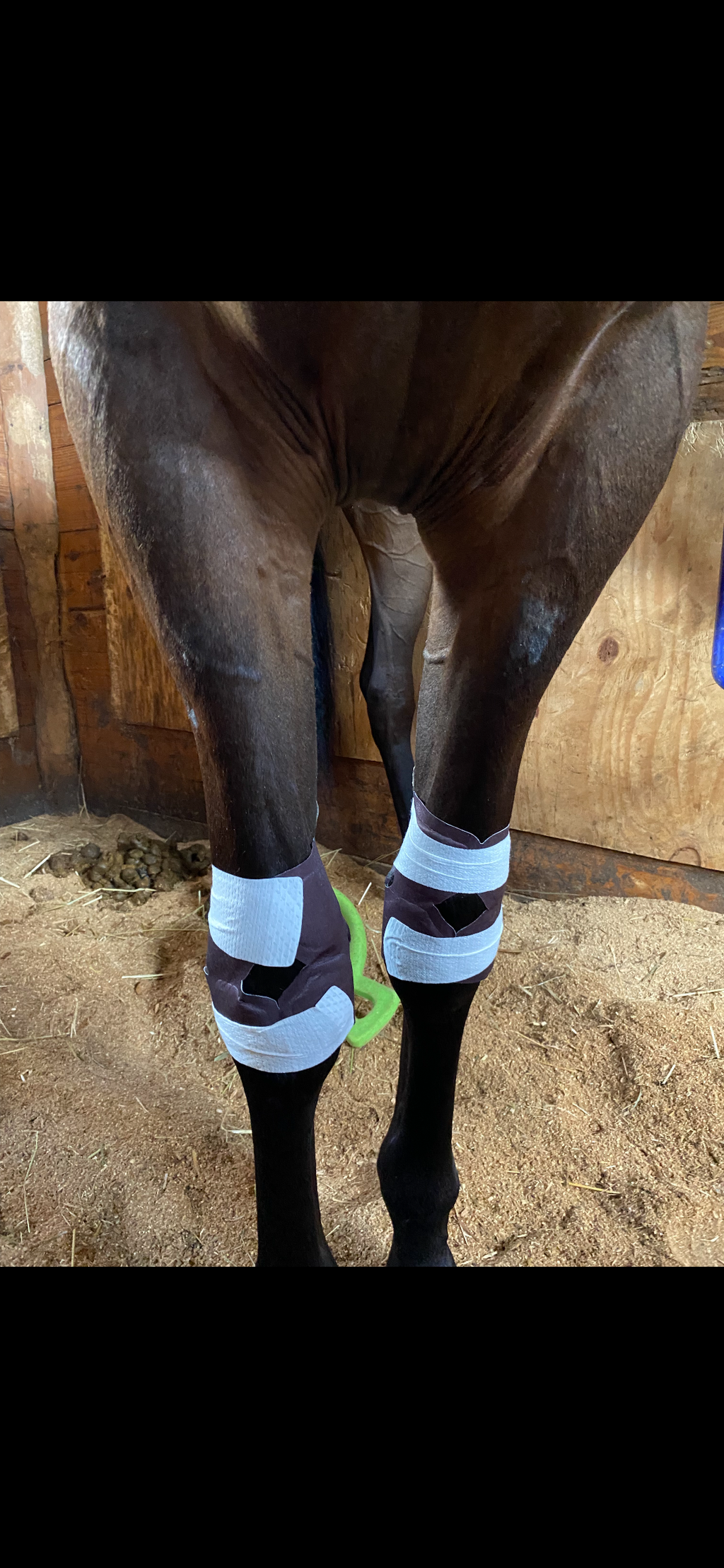 Free's Knees