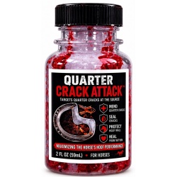 Quarter Crack