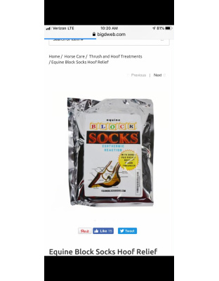 Equine Blocksocks case of 12